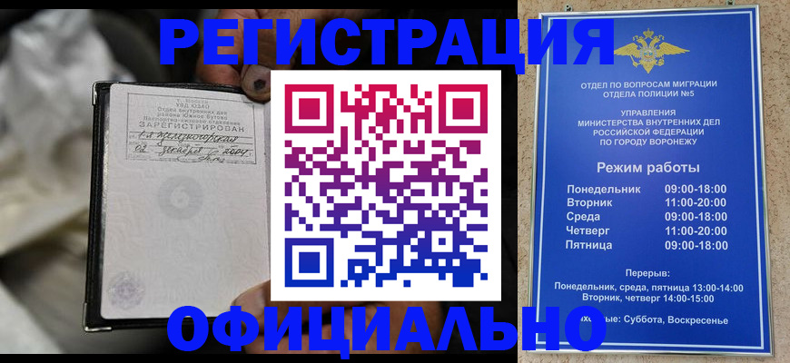 где прописаться в Луге